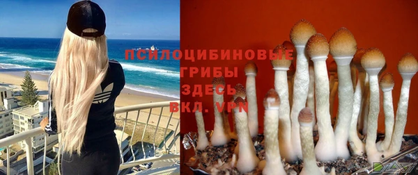 скорость Чита