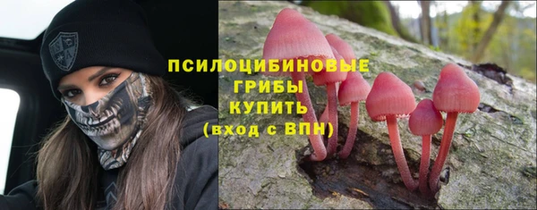 прущая мука Лагань