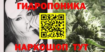 ALPHA PVP Коммунар